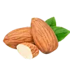 Sweet Almond Oil