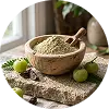 Emblica Officinalis  Extract
