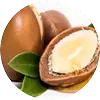 Shea Butter