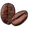 Coffee Arabica Seed Oil
