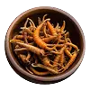 Cordyceps Synensis Extract