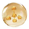 Ferulic Acid