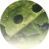 Green Propolis Extract®