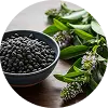 Retinol Palmitate + Bakuchiol + Ferulic Acid