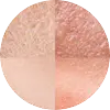 Lactobacillus Extracellular